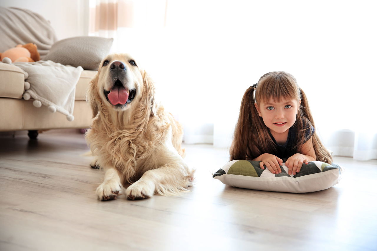 Choosing Vinyl Plank Flooring